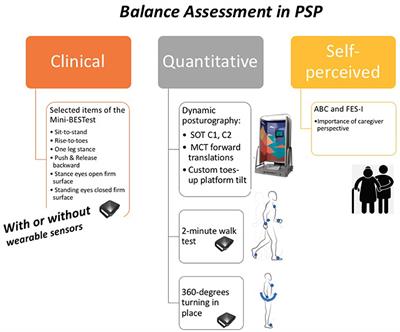 Perspective: Balance Assessments in Progressive Supranuclear Palsy: Lessons Learned